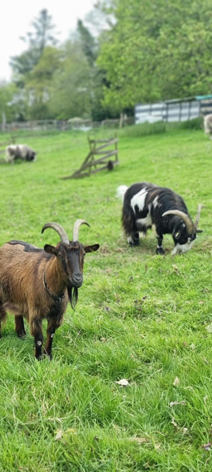 Chambres D'Hotes Ferme De La Baie Roz-sur-Couesnon Esterno foto